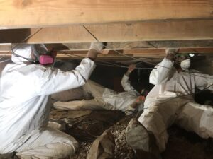 911-Restoration-mold removal-Big Rapids/Fremont